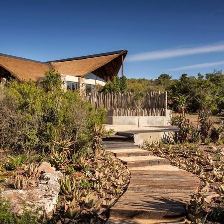 Lalibela Game Reserve - Kichaka Lodge Paterson Exteriör bild